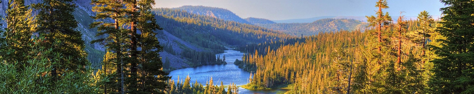 forest, lake and mountains